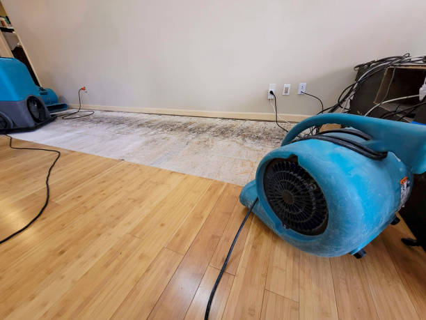 Professional Water Removal technician working in Corinna, ME
